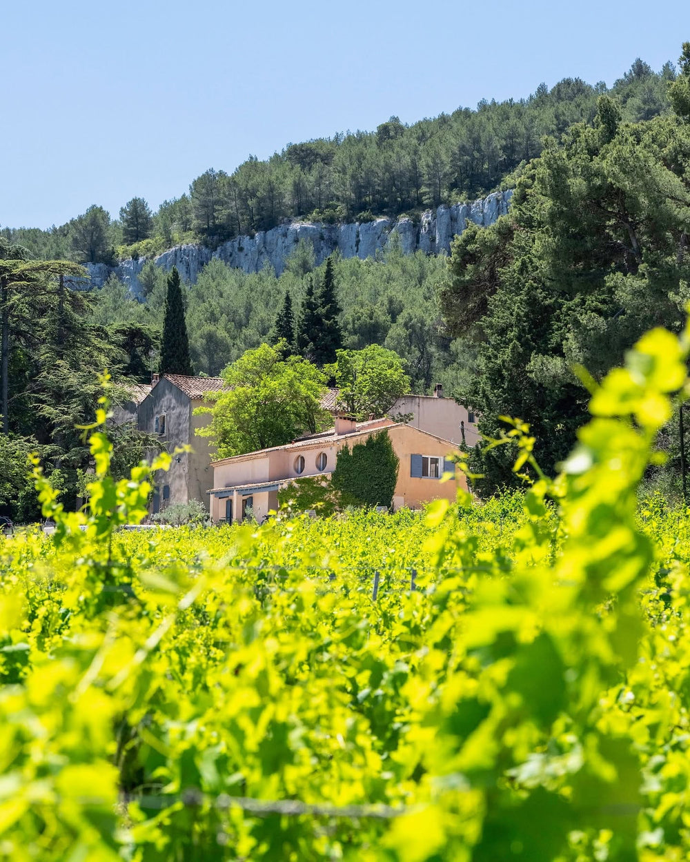 Chateau Barbanau