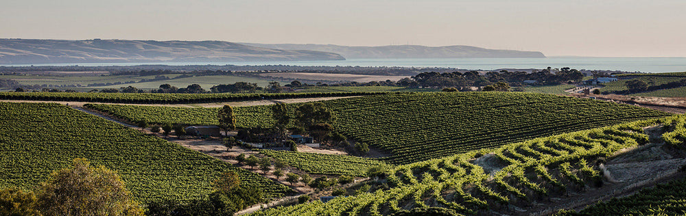 What is Fiano? The Ancient Italian Grape Finding a New Home in McLaren Vale
