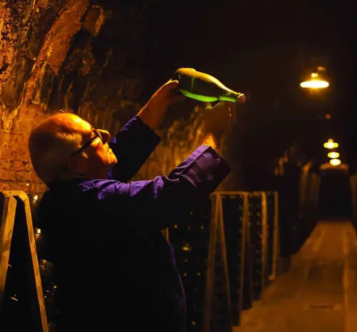 WHAT DOES WINE QUALITY MEAN?