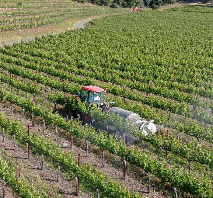 CHEMICALS & PESTICIDES IN WINES