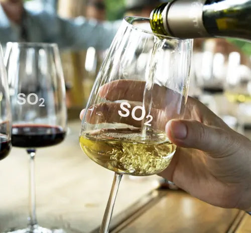 WINE QUALITY & SULPHUR DIOXIDE