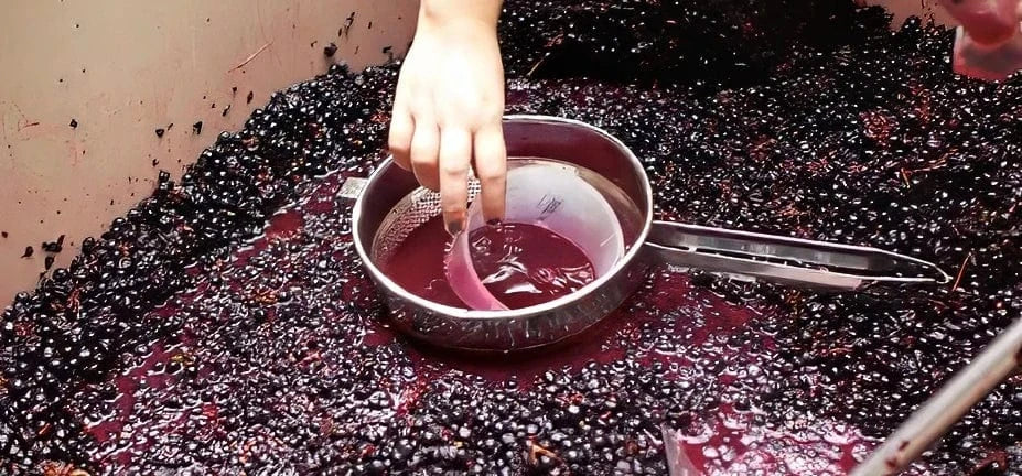 What Does Minimal Intervention Winemaking Actually Mean?