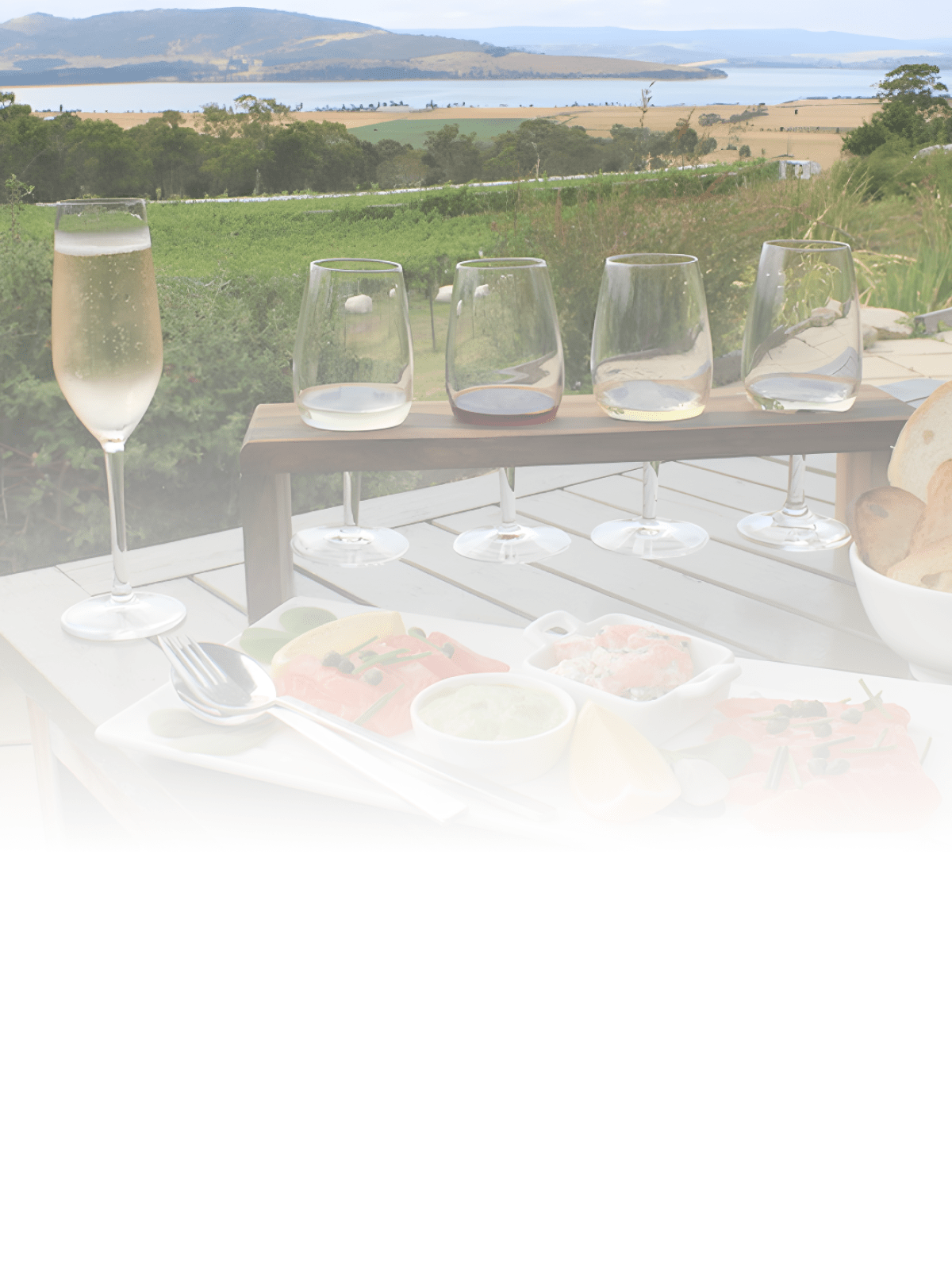 slideshow mobile background image